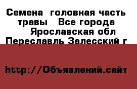 Семена (головная часть))) травы - Все города  »    . Ярославская обл.,Переславль-Залесский г.